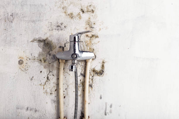 Trusted Clayton, CA Mold Remediation Experts