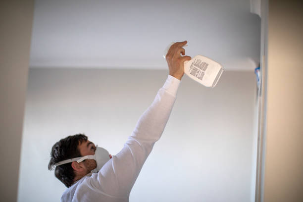 Best HVAC Mold Remediation in Clayton, CA