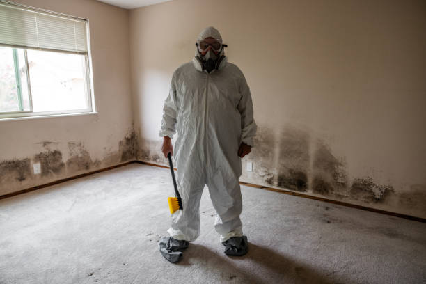 Best Post-Flood Mold Remediation in Clayton, CA